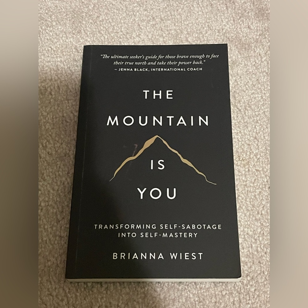 The mountain is you book